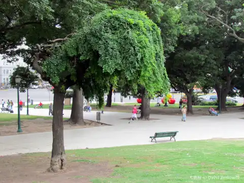 Hotels near Plaza Canada