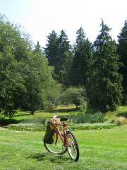 Urban Forestry Center