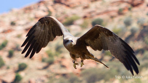Alice Springs