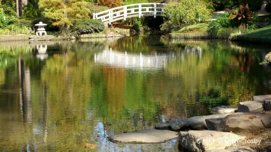 Sarah P. Duke Gardens