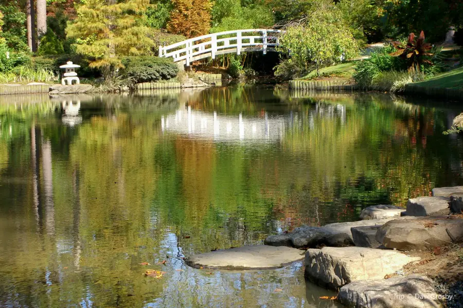 莎拉·杜克花園