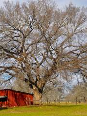 Lyndon B. Johnson Historical Park