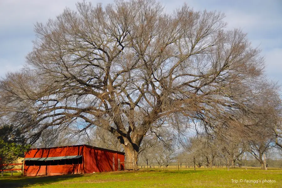 Lyndon B. Johnson Historical Park