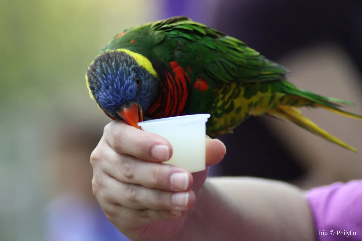 3_San Antonio Zoo
