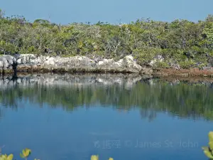 Oyster Pond Beach