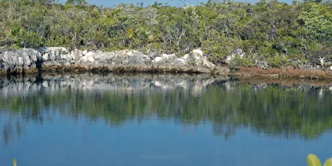 Oyster Pond