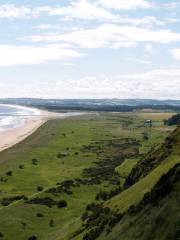 St Cyrus National Nature Reserve