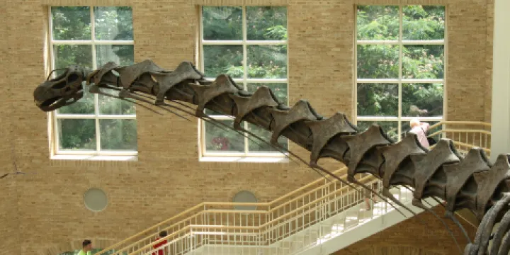 弗恩班克自然歷史博物館