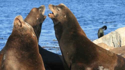 Monterey Bay National Marine Sanctuary Exploration Center