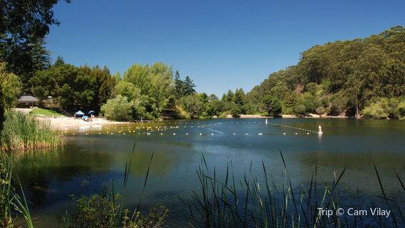 Berkeley