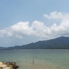 桂港海鮮城張用戶圖片