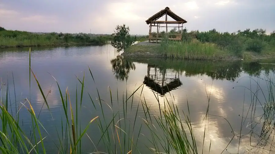 香妃湖花卉莊園