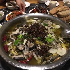 Qingxigongjiao Fish User Photo