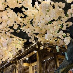 憶初日料張用戶圖片