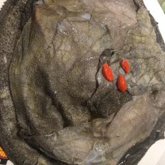 钢管厂五区小郡肝火锅串串香(车城万达店) User Photo