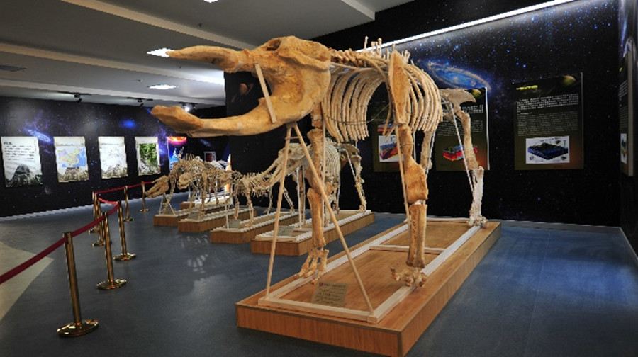 Dizhi Museum