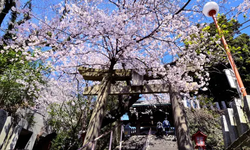 Atago Shrine