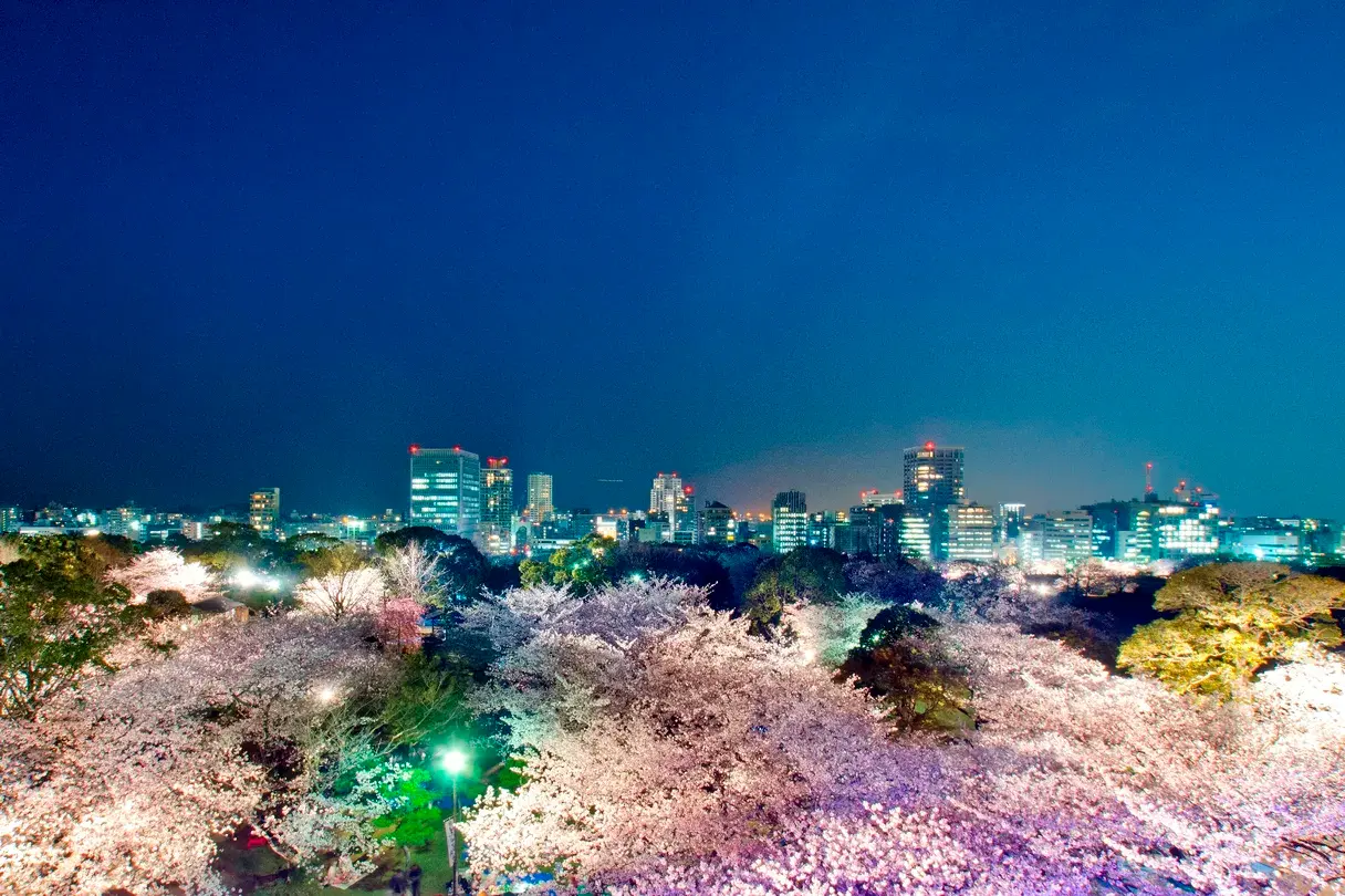4_Fukuoka Castle Ruins