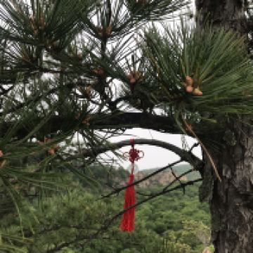 評論圖片 2