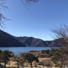Kukuna User Photo