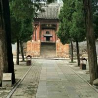 評論圖片 2