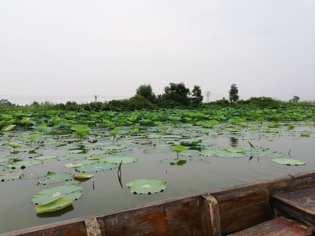 White Pagoda Park