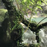 評論圖片 2