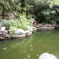 評論圖片 5