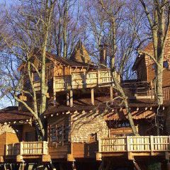 The Treehouse Restaurant User Photo