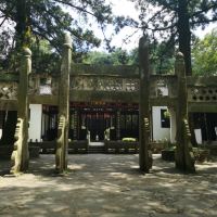 評論圖片 5