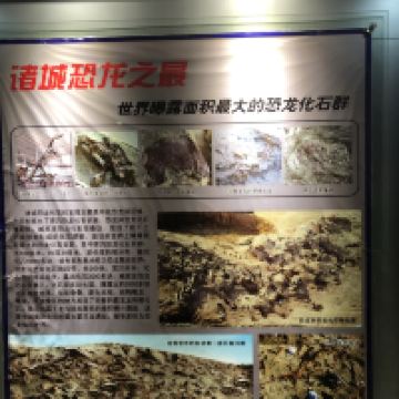 評論圖片 8