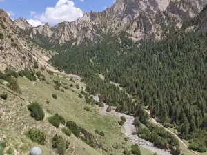 坡隴原始森林生態旅遊風景區