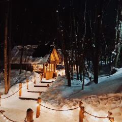 Kohi Morinotokei User Photo