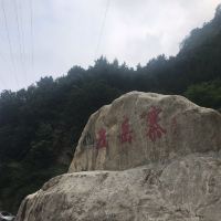 評論圖片 2