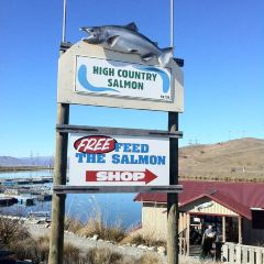 High Country Salmon ảnh của người dùng
