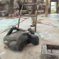 評論圖片 7