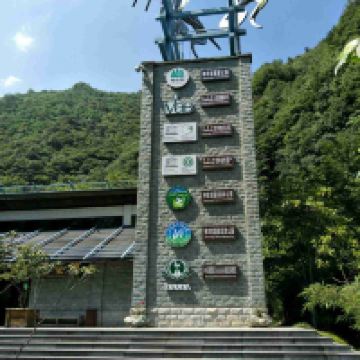 評論圖片 2