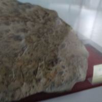 評論圖片 2