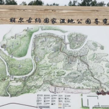 評論圖片 8