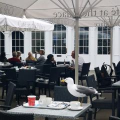 The Cafe at the Palace User Photo