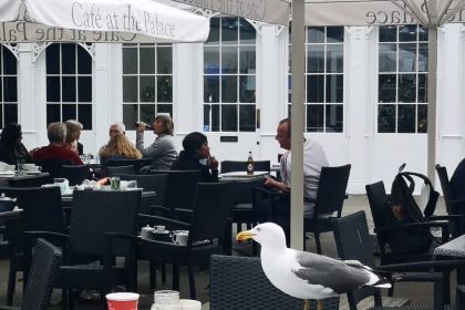 The Cafe at the Palace