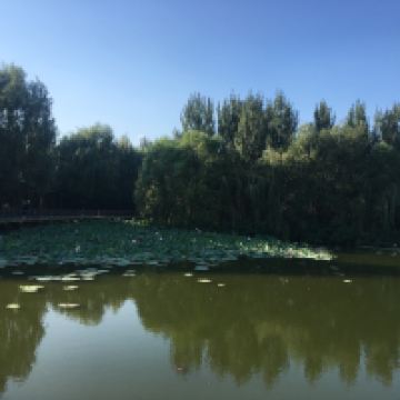 評論圖片 2