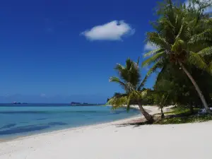 Surf Club Saipan Restaurant