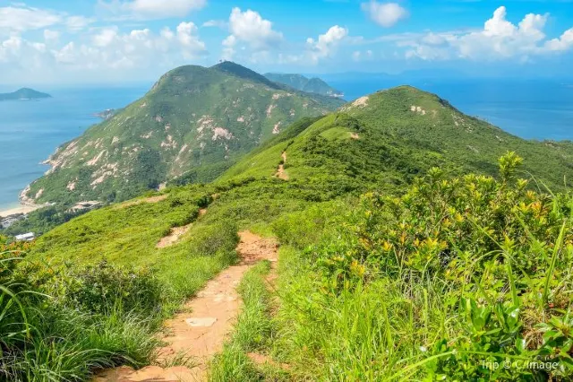 【行山路線推介🌄】6條香港初級簡易行山徑，✅靚景✅3小時✅新手