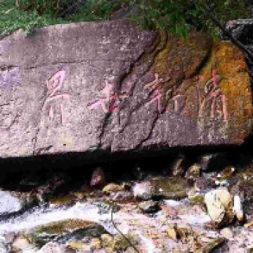 評論圖片 5
