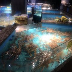 拉完海鲜大排档(温岭店) User Photo