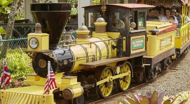 繽紛夏威夷 | 如何玩轉彩虹州,這幾種顏色告訴你!