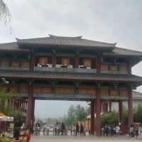 評論圖片 9