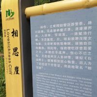 評論圖片 8