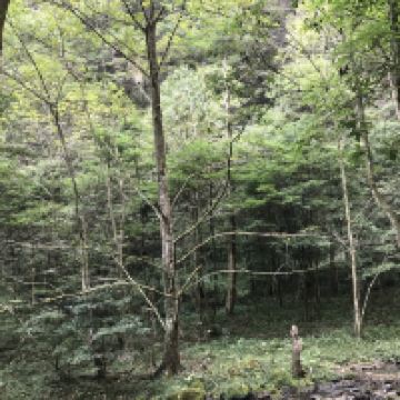 評論圖片 3